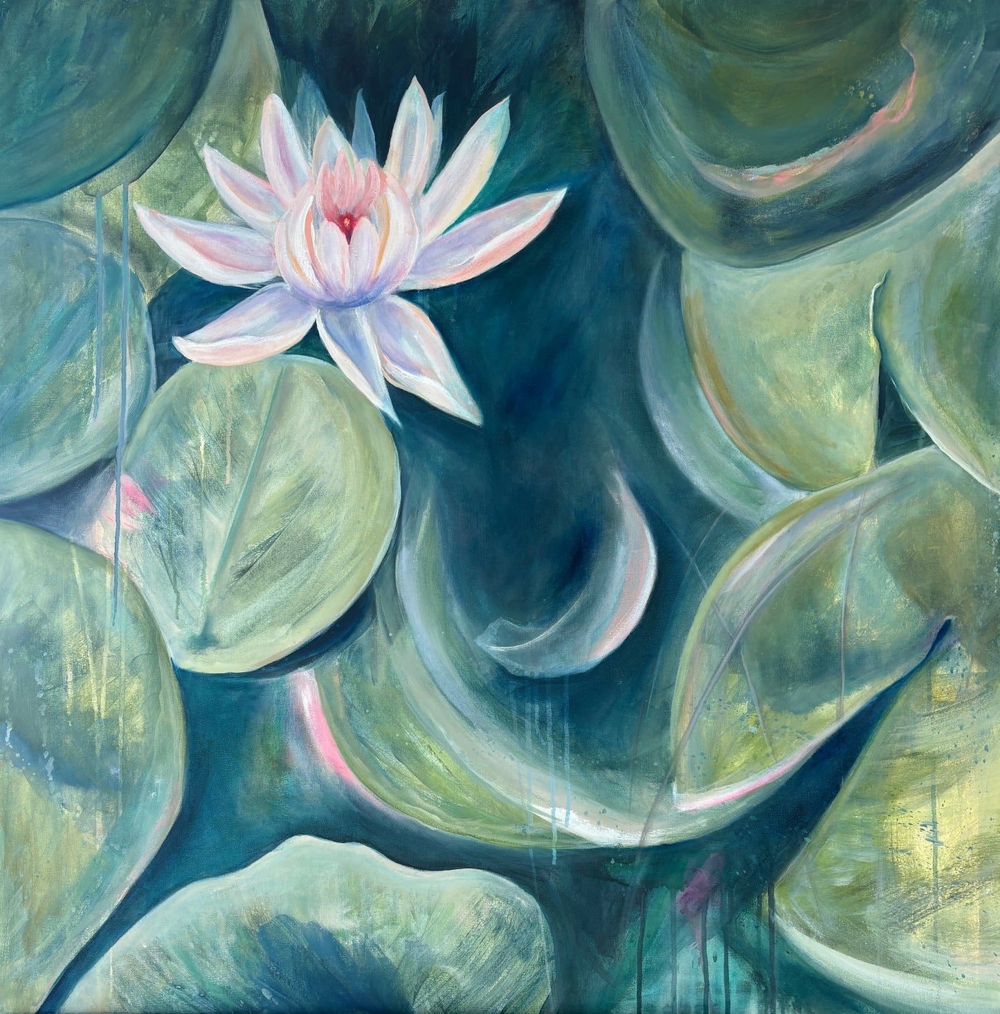 LILY POND